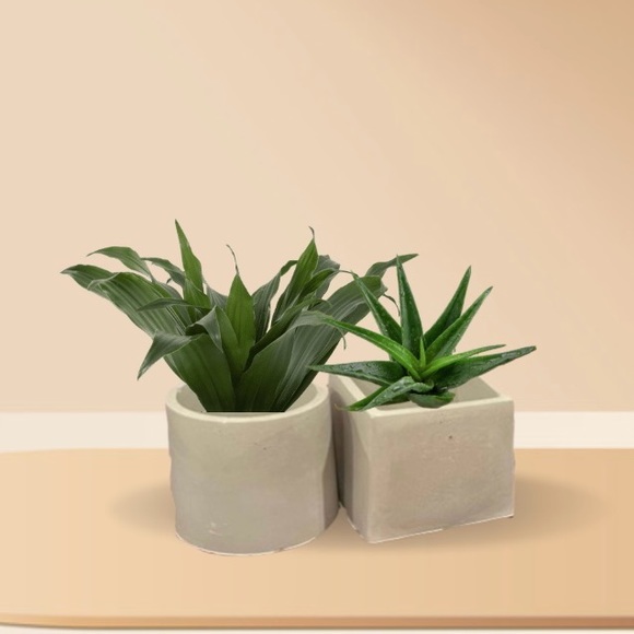 Handmade Small plant pot circular and square set of 2 - Picture 2 of 10
